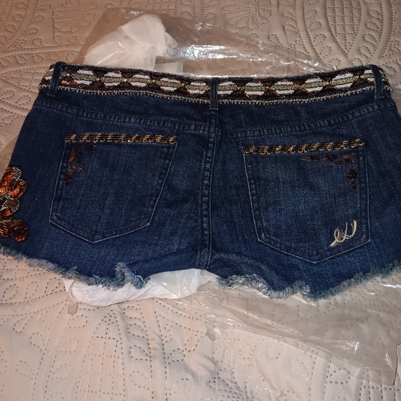 Embroidered RUNWAY EXPRESS SHORTS Sexy - Picture 3 of 8